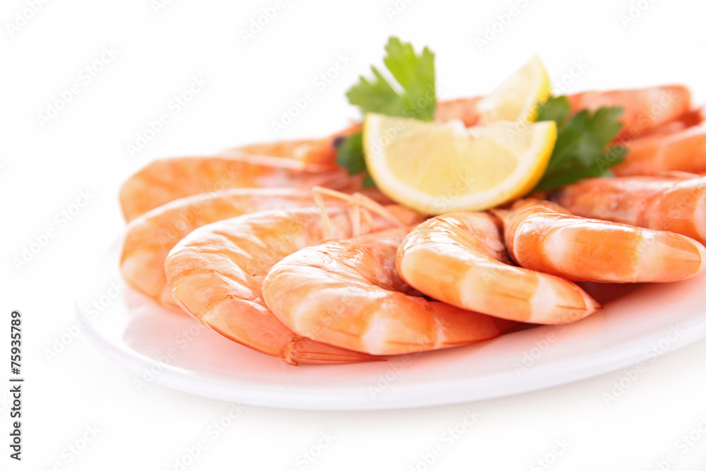 fresh shrimp