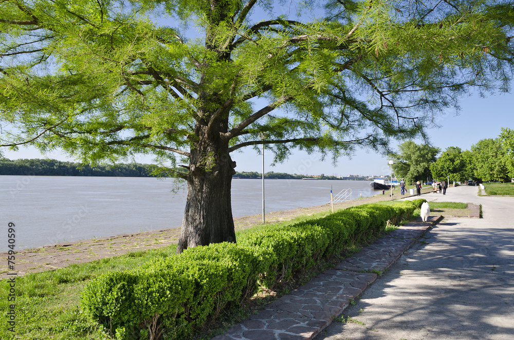 Travelling to Ruse, near the river Danube