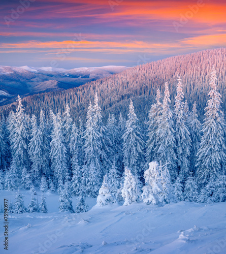 Colorful winter landscape in mountains.