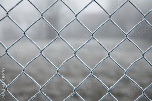 Winter Fence