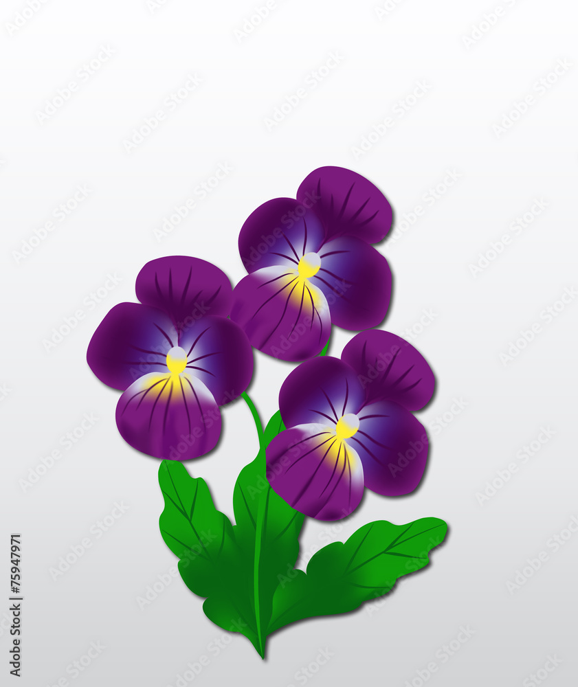 Naklejka premium Violets branch .