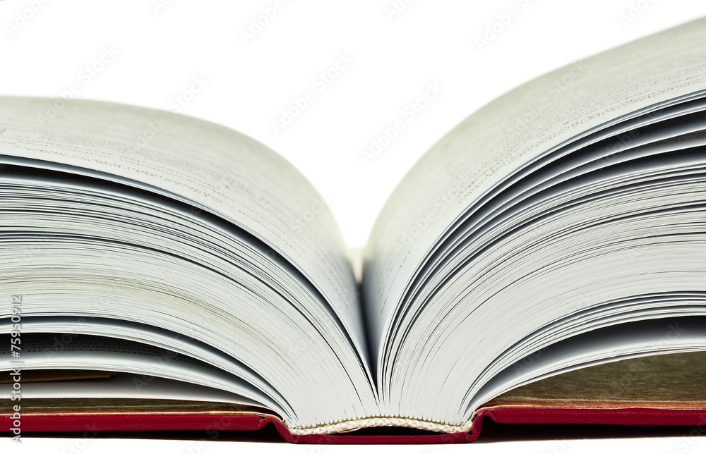 Obraz premium Open book. fragment