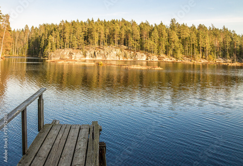 Wooden pier in the forest pond © Alexander_photo