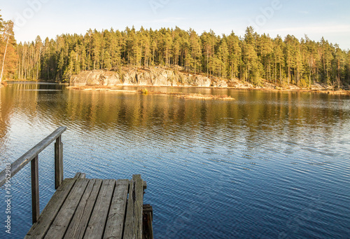 Wooden pier in the forest pond