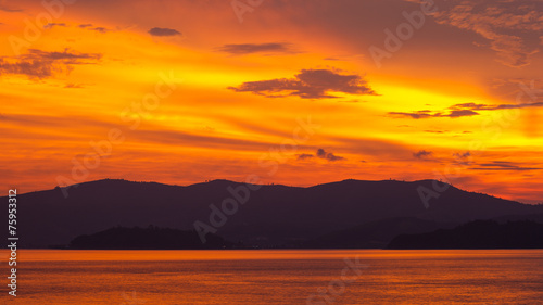 Silhouette scenery