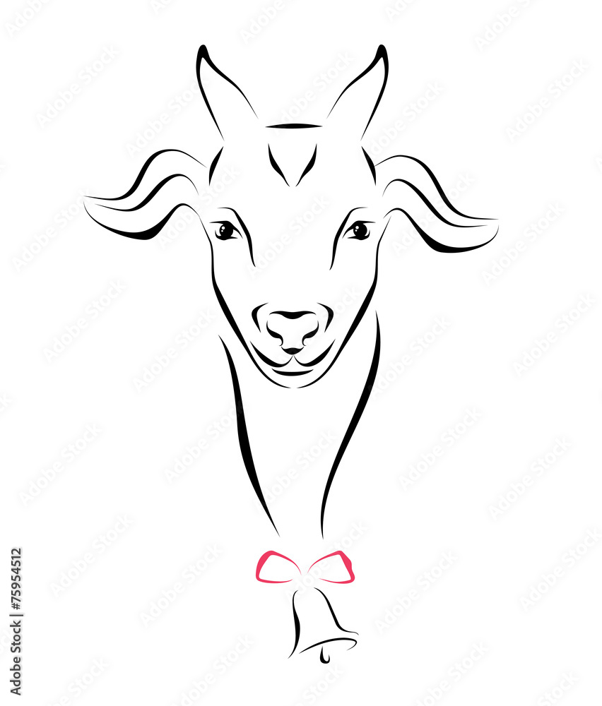 Portrait Of Goat Ink Line Art
