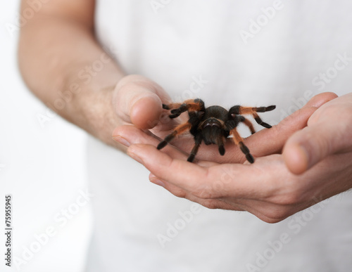 big spider on hand