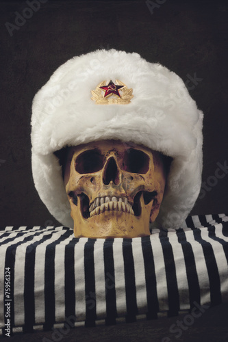 Skull with white russian Uschanka photo