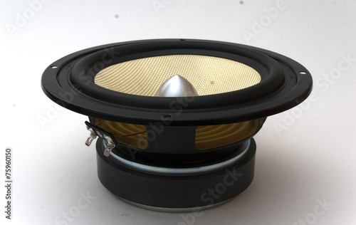 midbass speaker