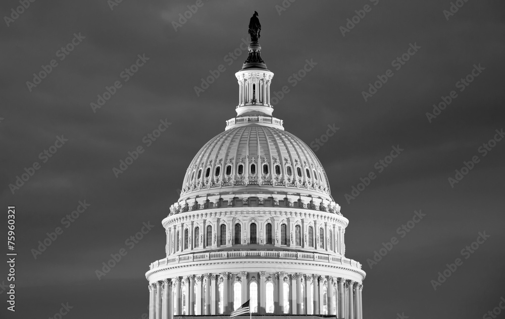 Washington DC , Capitol Building - detail, US