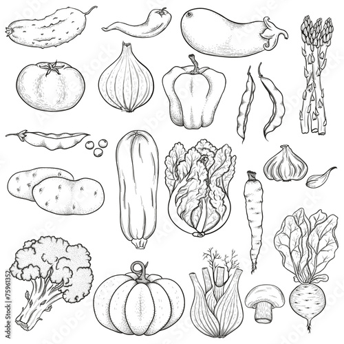 Big set of vegetables