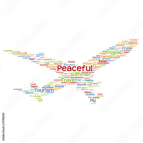 Vector conceptual travel or tourism plane word cloud