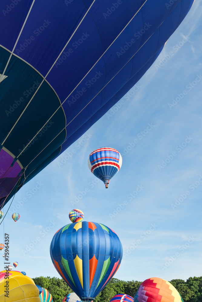 Obraz premium Hot Air Balloons