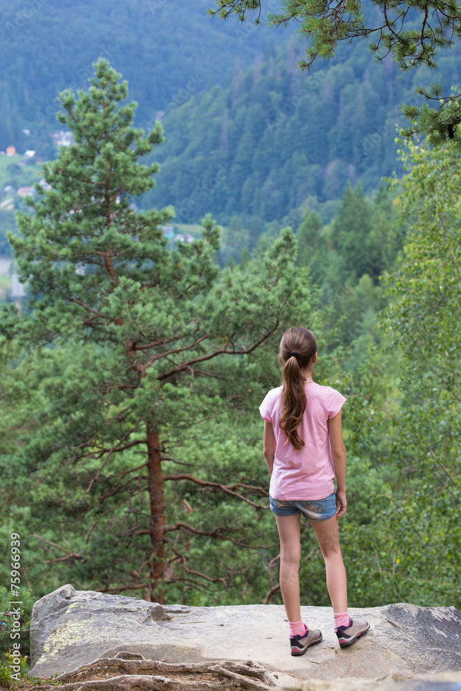 Naklejka premium looking at the mountains forest