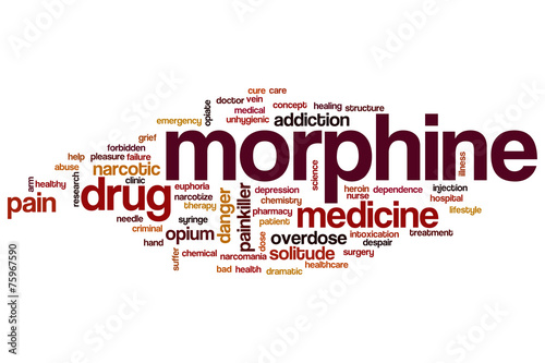 Картината върху платно Morphine word cloud