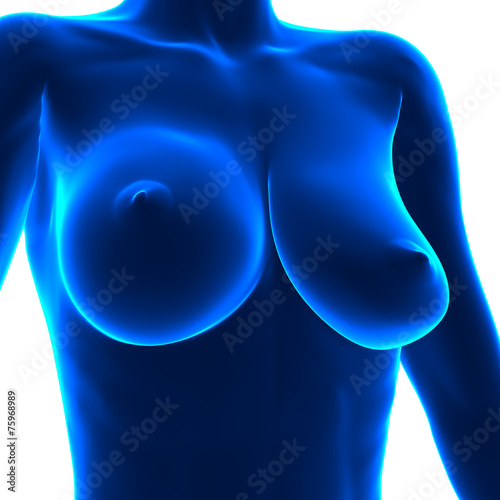 Uneven Breasts - different sizes photo