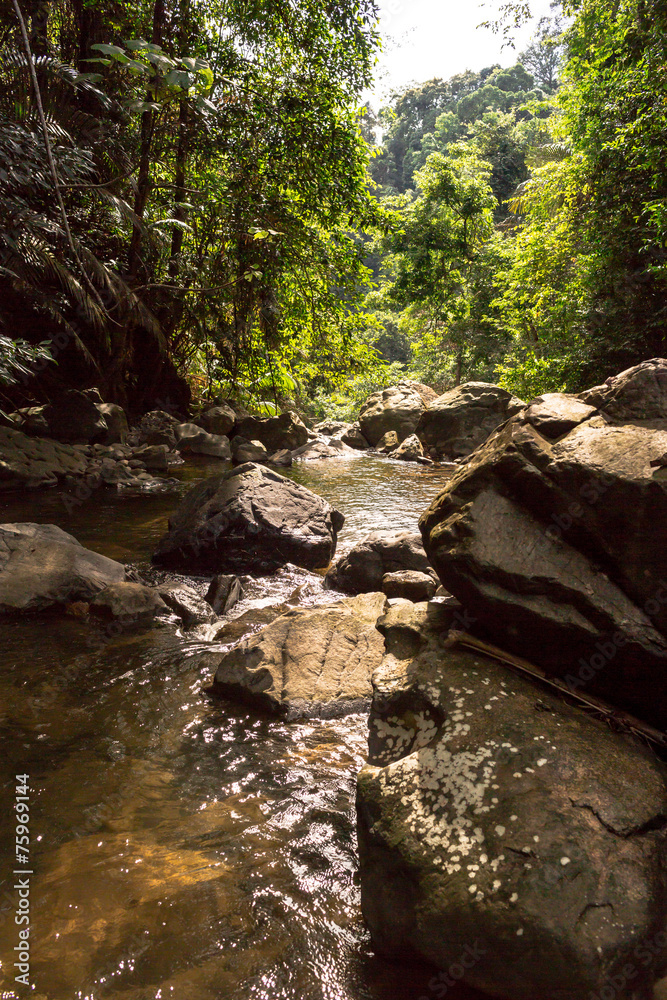 Waterfall with deep forest background. Waterfall with deep forest background.