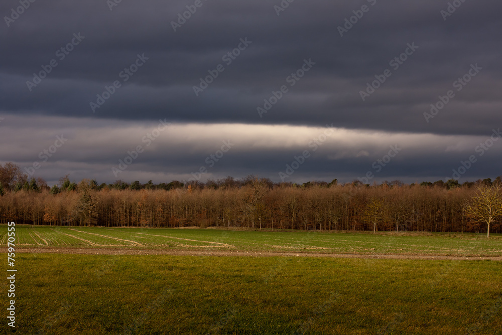 Licht am Horizont