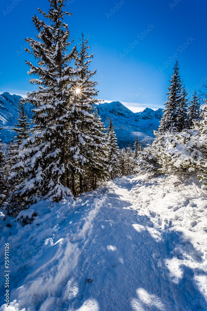 Sunny winter expedition to the mountains