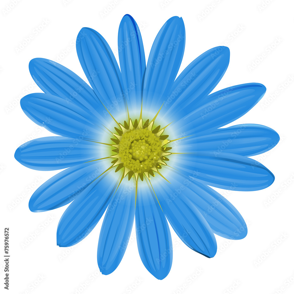 A blue flower