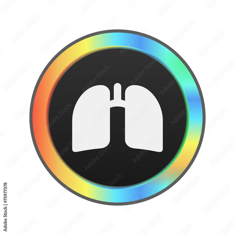 Colorful Web Button Colorful Web Button