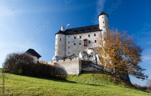 Bobolice Castle in Autum