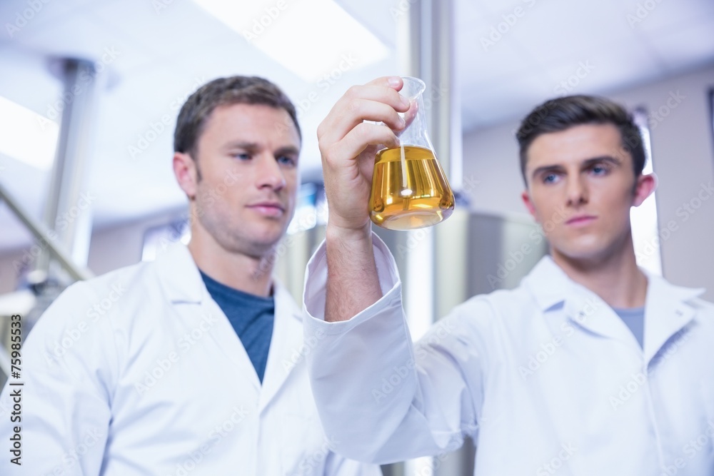 Two men in lab coat looking at the beaker with beer Two men in lab coat looking at the beaker with beer