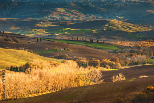 Beautiful fields and forests in the landscape of Tuscany