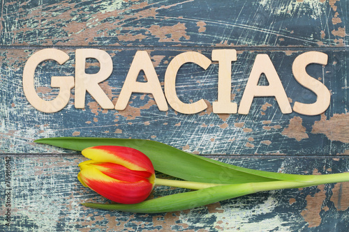 Gracias (thank you in Spanish) written with letters, and tulip