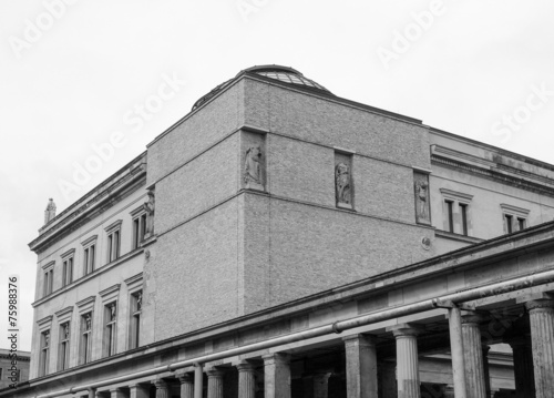  Neues Museum photo