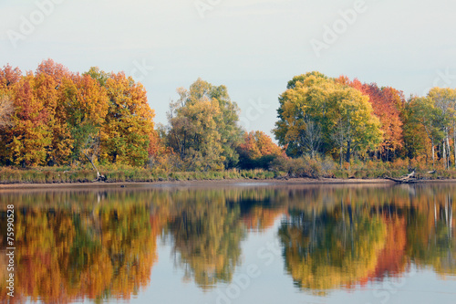 autumn trees reflected in the river
