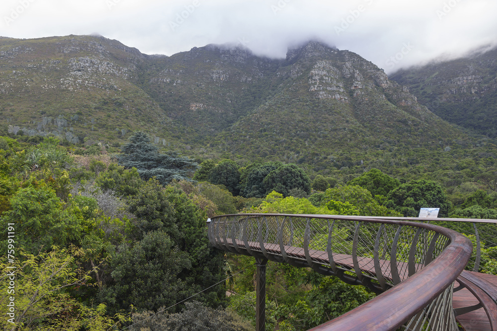 Kirstenbosch Gardens on a partly cloudy day with walkway