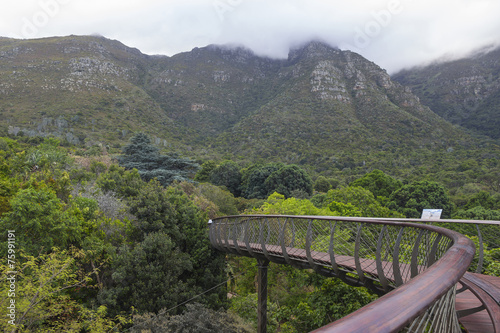 Kirstenbosch Gardens on a partly cloudy day with walkway