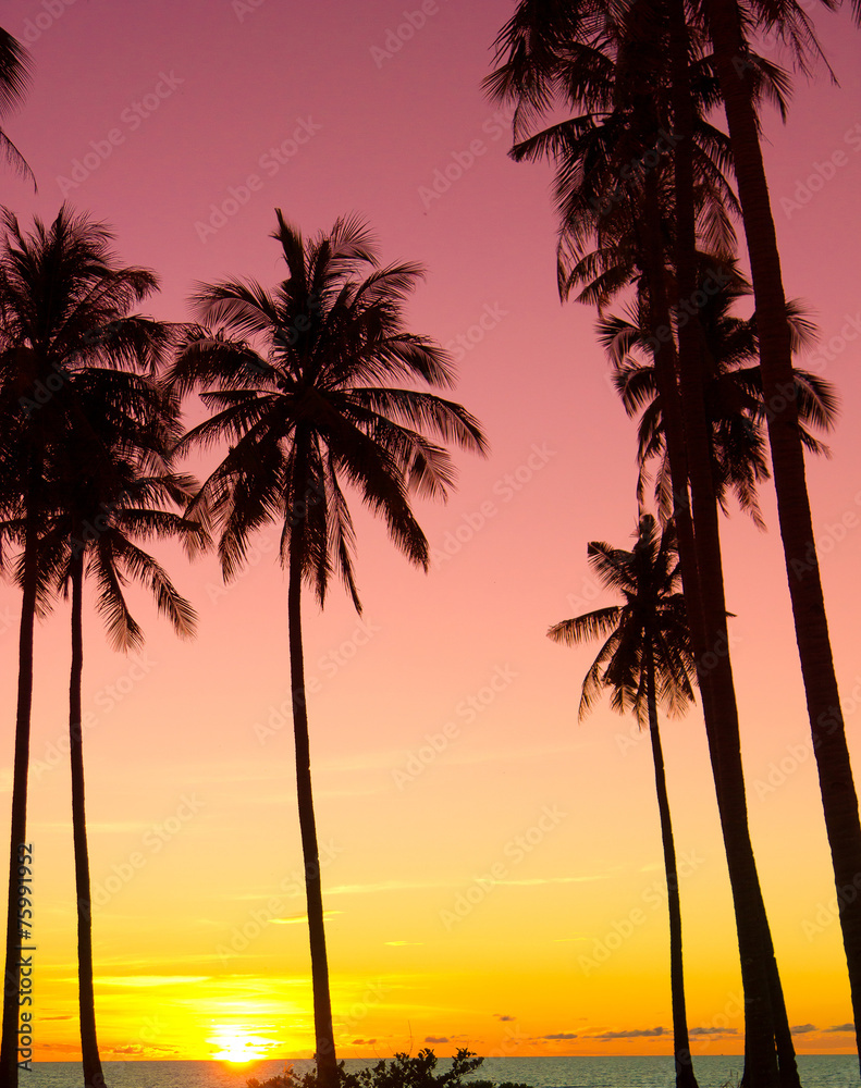Palm Paradise Tree Silhouettes