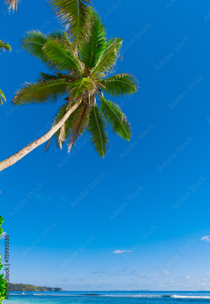 Fototapeta premium Bay Panorama Tranquility