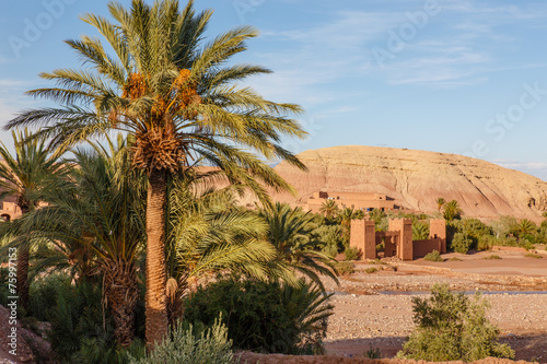 Ait Benhaddou Sunaet