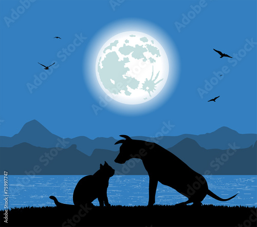 silhouette di cane e gatto