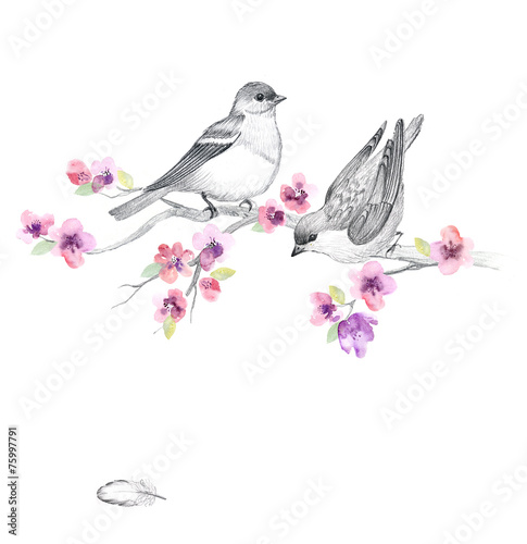 Graphic background with cute birds and flowers