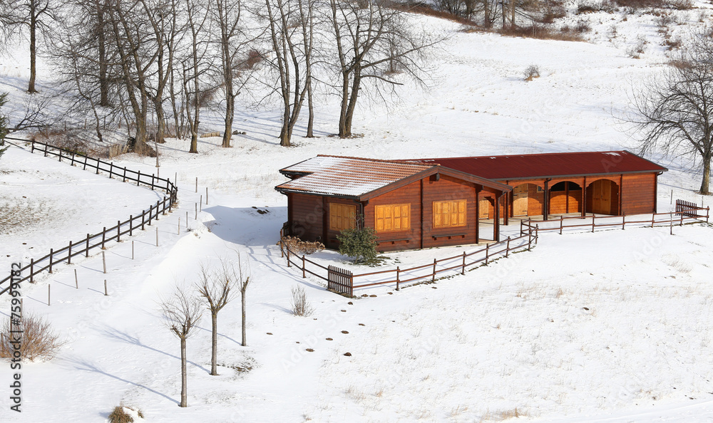 wooden chalet in the mountains and snowy