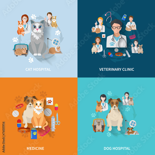 Veterinary Flat Set