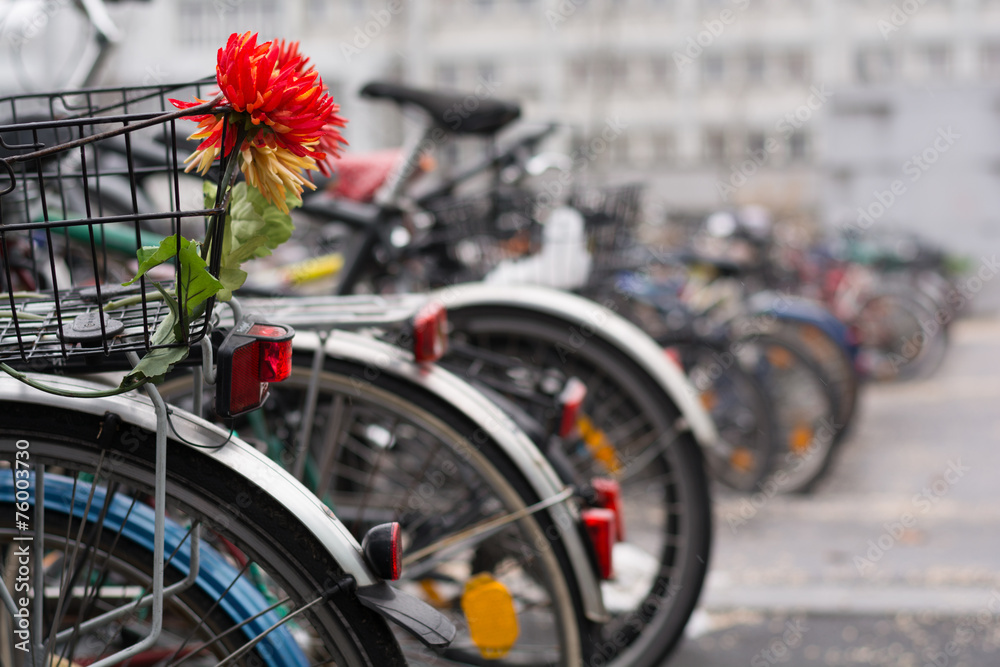auffaelliges Fahrrad mit Blumen