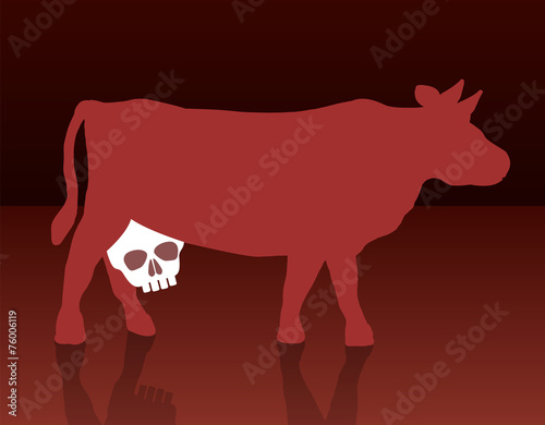 Milk Cow Unhealthy Skull