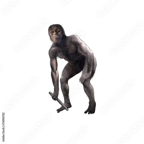 Australopithecus photo