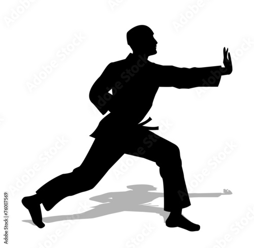 judo silhouette su sfondo bianco