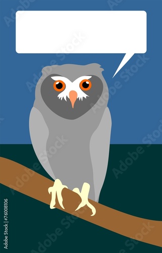 Grey Owl Says So