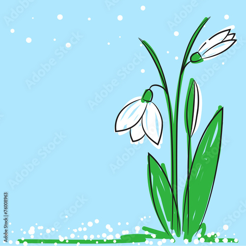 hand drawn snowdrop on a light blue background
