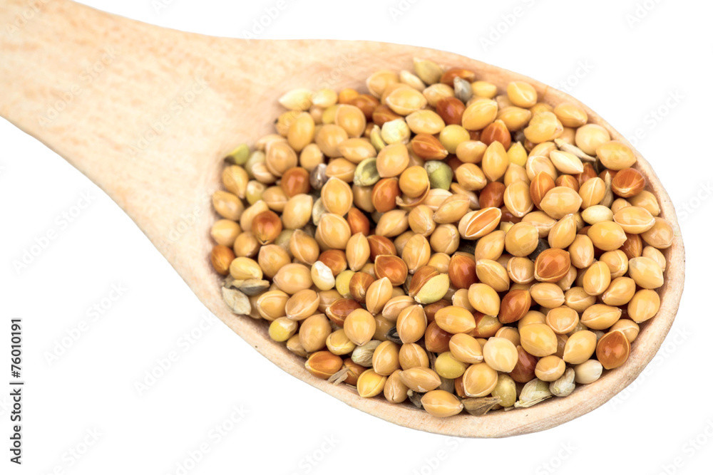 Millet in a spoon Millet in a spoon