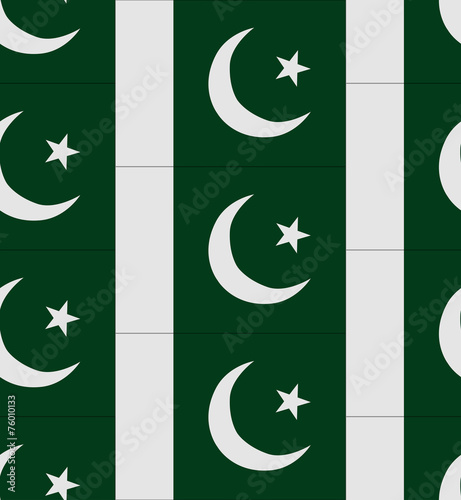 Pakistan flag texture vector