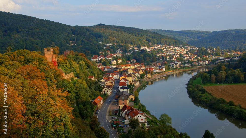 Obraz premium Neckarsteinach