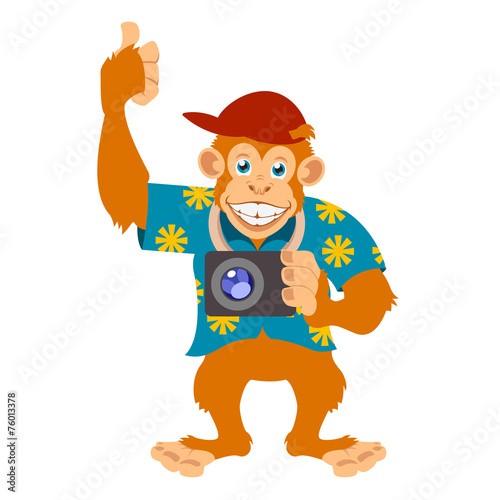 Monkey with a cam